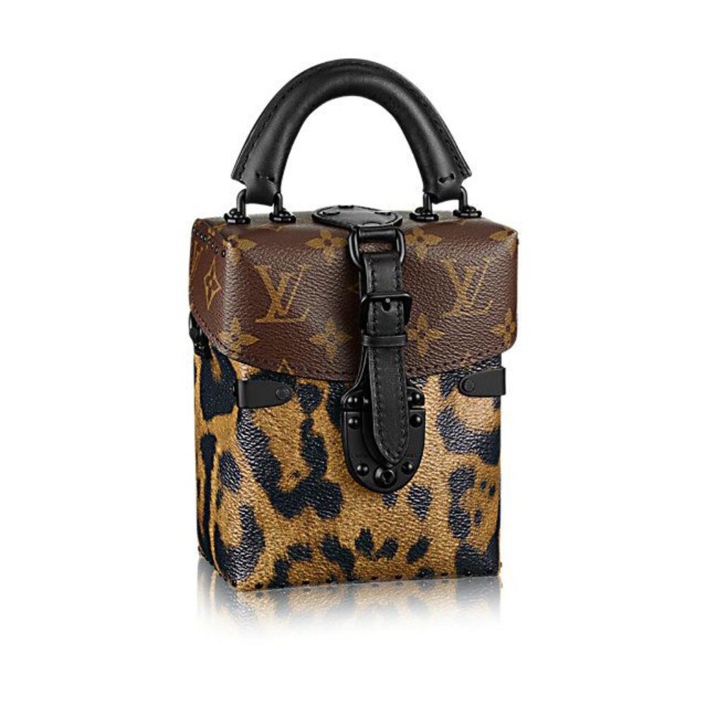 Louis Vuitton Camera Box Wild & Marron Monogram Canvas Handbag